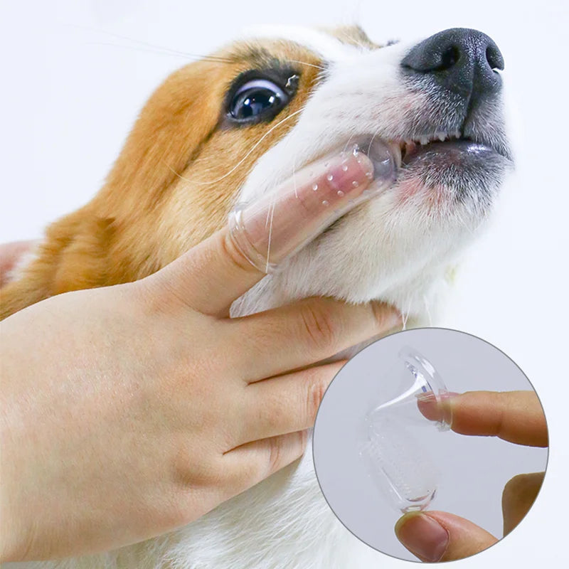 Escova de dentes para animais de estimação cão gato limpeza de sílica gel